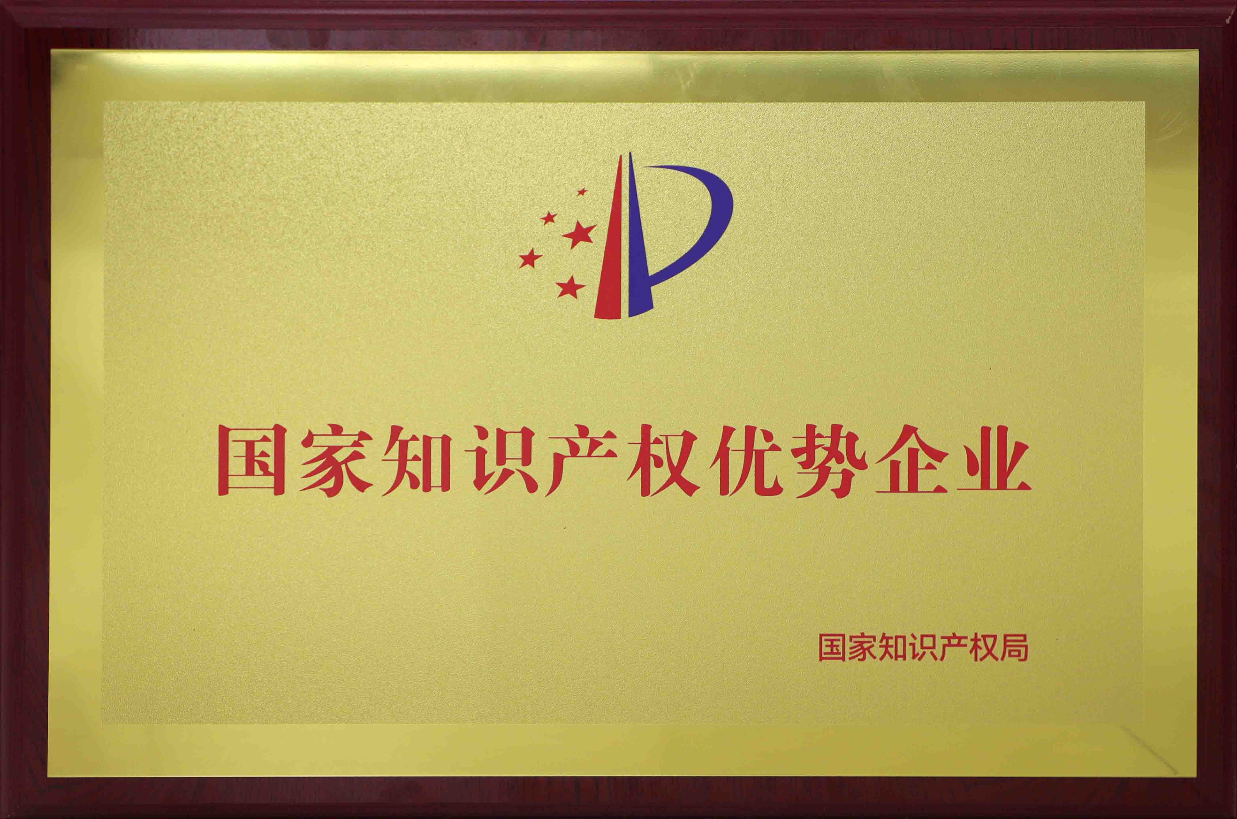 国家知识产权优势企业.jpg