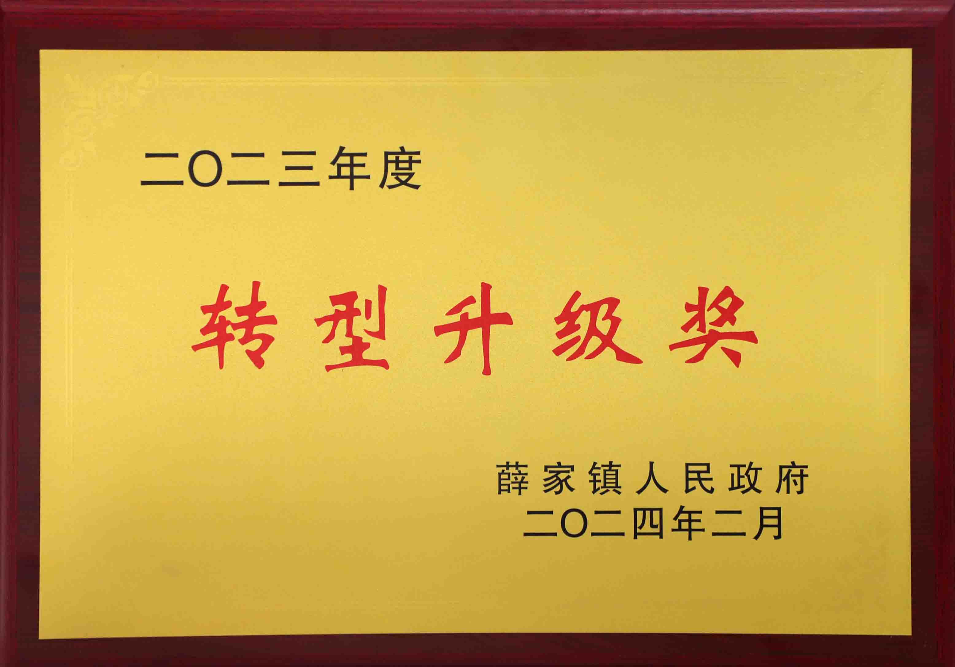 转型升级奖.jpg